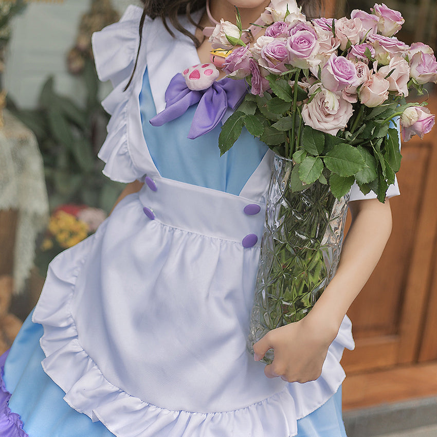 Blue And White Maid Dress