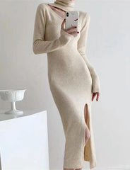 Cutout Half Turtleneck Slim Knit Dress