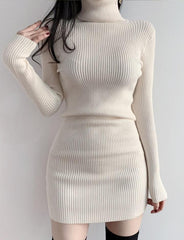 Turtleneck Slim Wrap Hip Sweater Dress